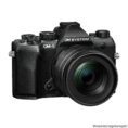 6II Negro