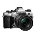 6II Negro
