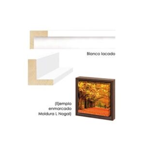 AP Bastidor para lienzos (18x44mm) Kit 2 Perfiles 75 cm
