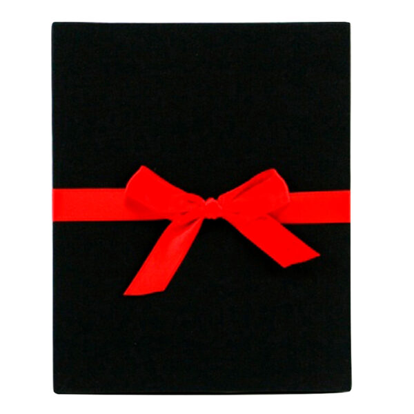 Goldbuch Leporello Linum Álbum de Pegar 16x19 cm cartulina negra Negro