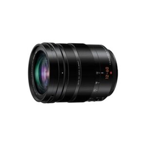 Panasonic Objetivo Lumix DG 12-60mm f/2.8-4.0 Leica ASPH Power O.I.S.
