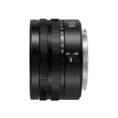 PAN401516-1.jpg