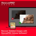 SDK404406-3.jpg