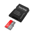 SDK404418-2.jpg