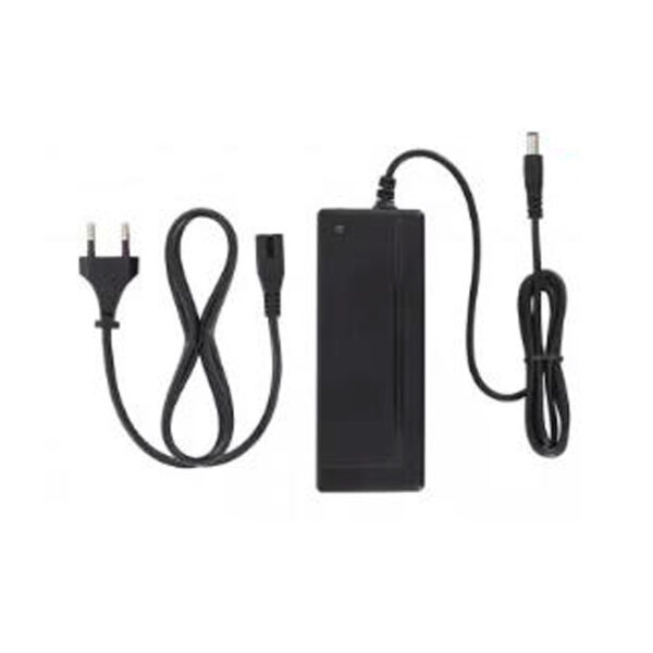 Swiss+Go Recambio Mov. Eléctrica Cargador ZM012 42v 1