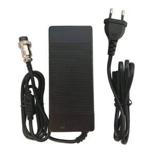 Swiss+Go Recambio Mov. Eléctrica Cargador 48v 2